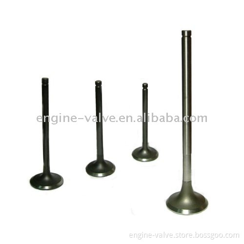 engine valve for HINO